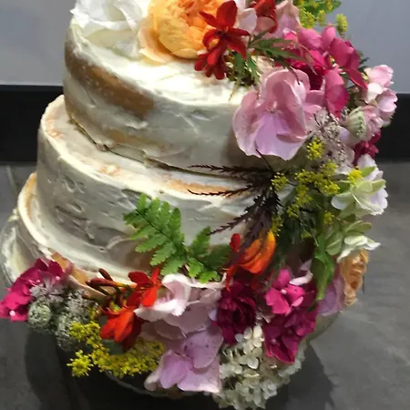 Maison Contemporaine Bien Jacuzzi Hammam Et Art Immersif Dans Un Cadre Zen Proximité Mont Michel Villa